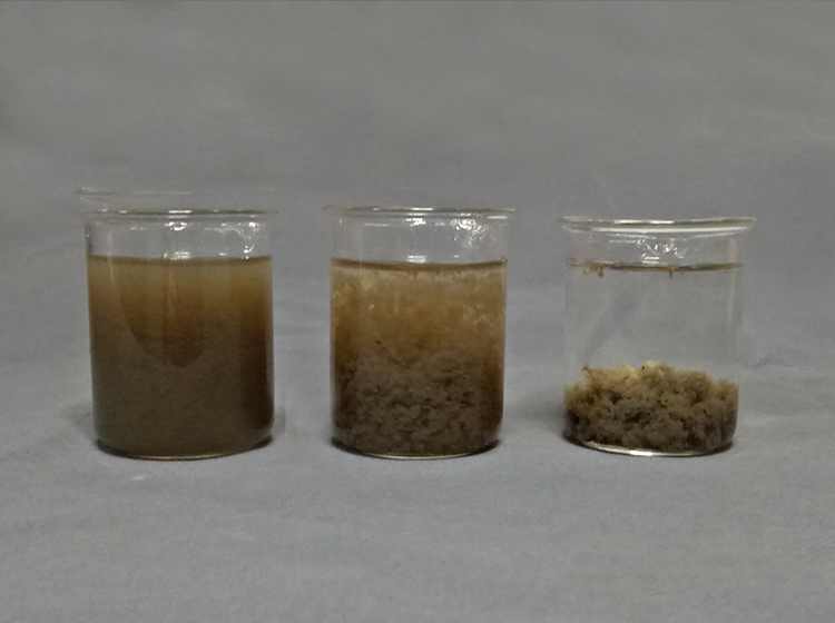 印染污水烧杯选型实验