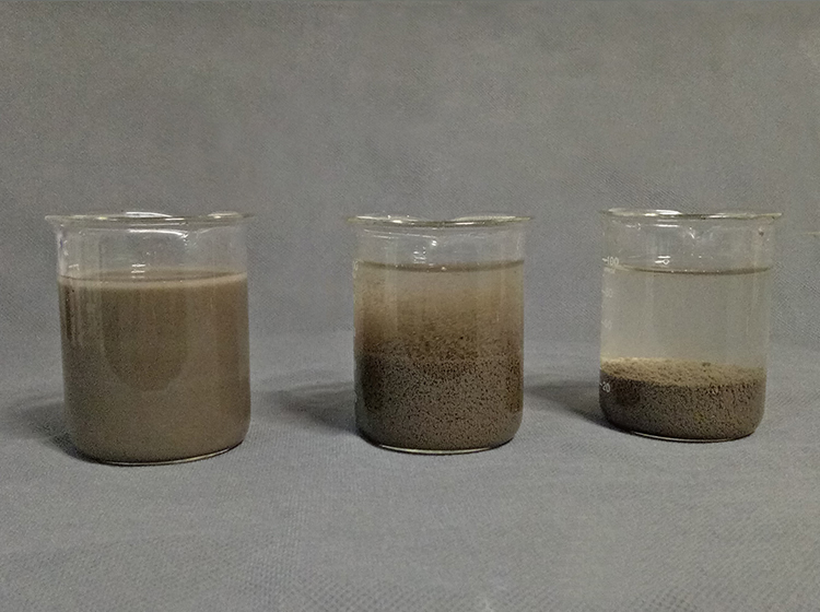 市政污水烧杯选型实验