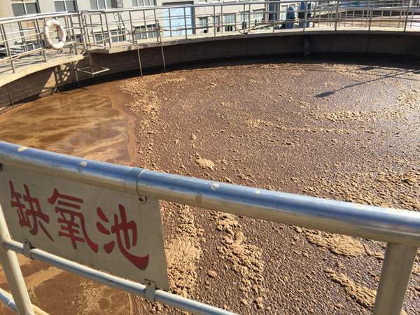 皮革污水处理